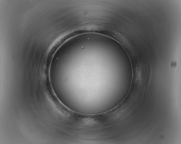 X0000113330392200909211225