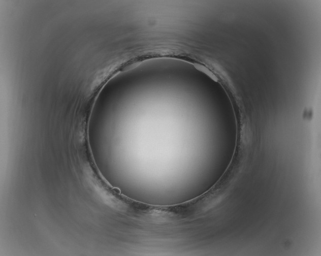 X0000113330393200909211225