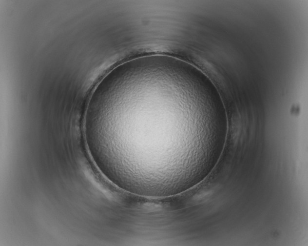 X0000113330394200909211225
