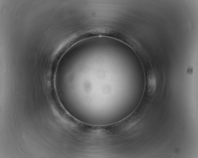 X0000113330396200909211225