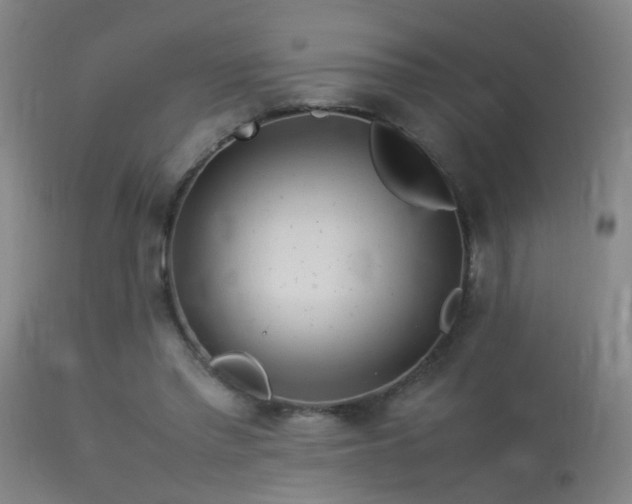 X0000113330397200909211225