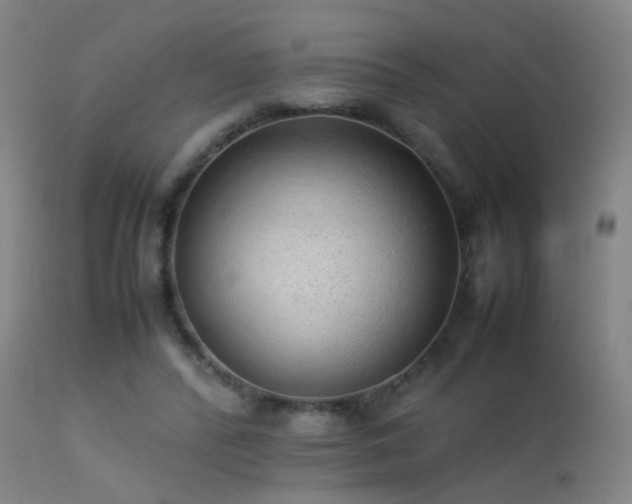 X0000113330400200909211225