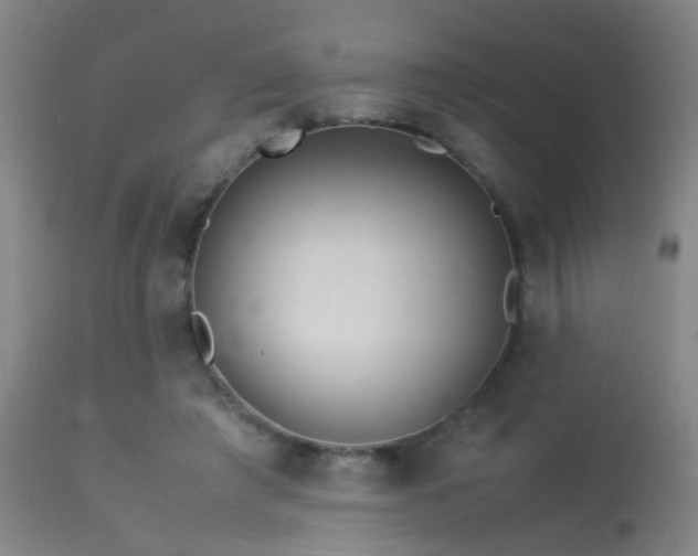 X0000113330401200909211225