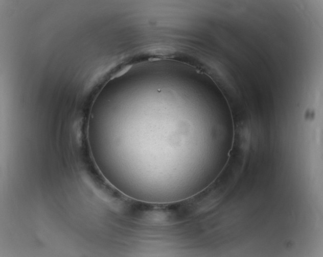 X0000113330404200909211225