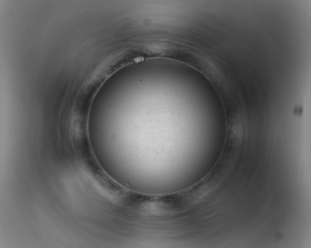 X0000113330408200909211225