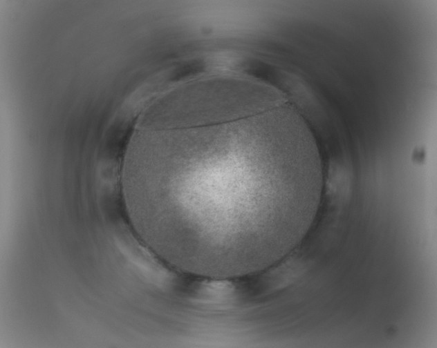 X0000113330409200909211225