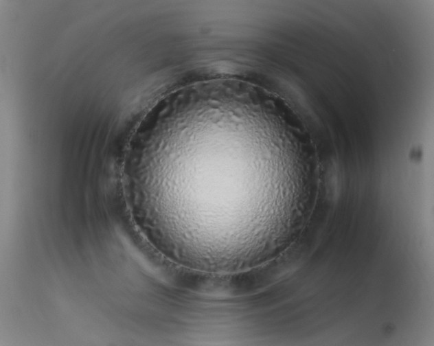 X0000113330410200909211225