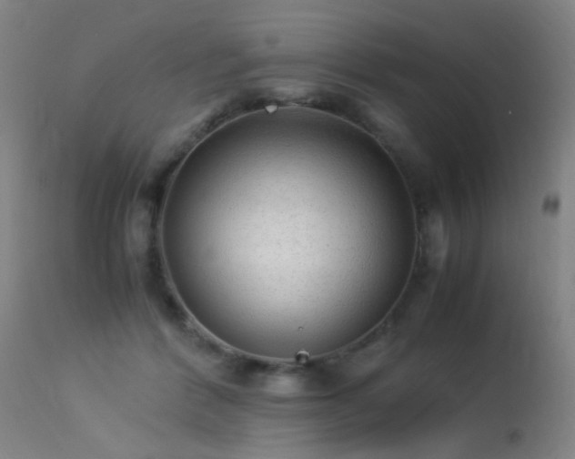 X0000113330412200909211225