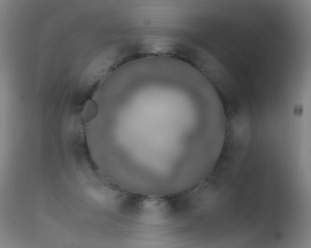 X0000113330415200909211224