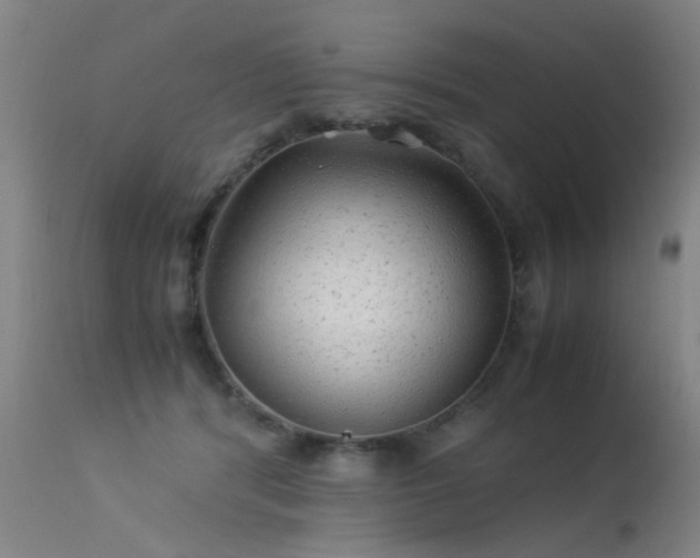 X0000113330416200909211224