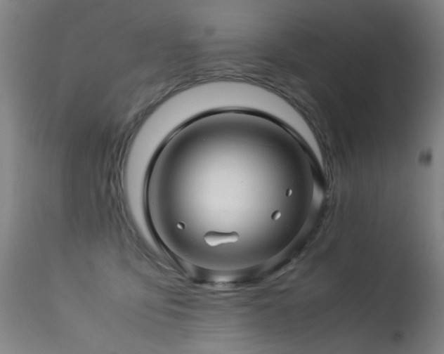 X0000113330419200909211224