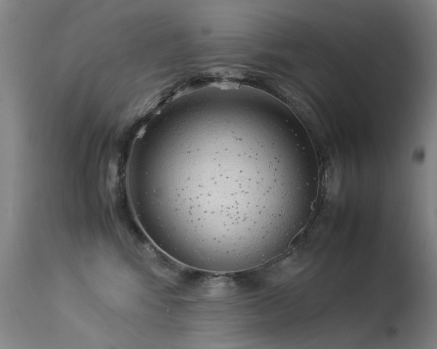 X0000113330424200909211224