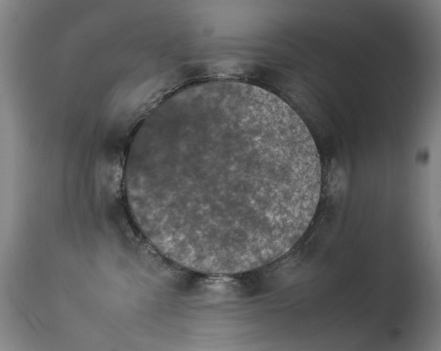 X0000113330427200909211224