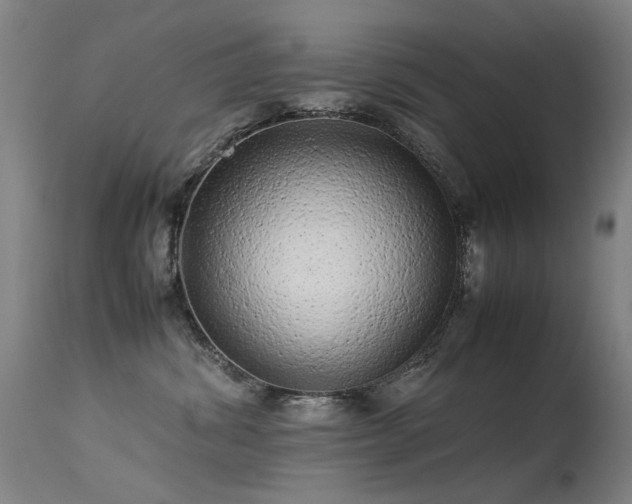 X0000113330428200909211224