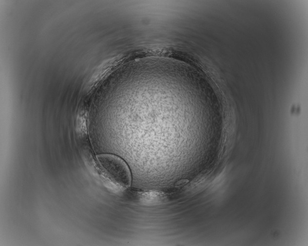 X0000113330432200909211224