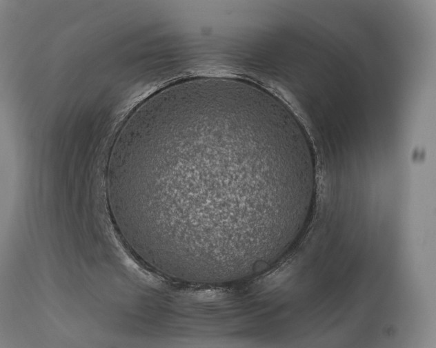 X0000113330433200909211223