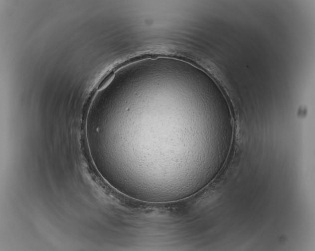 X0000113330434200909211223