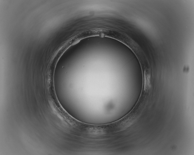X0000113330435200909211223