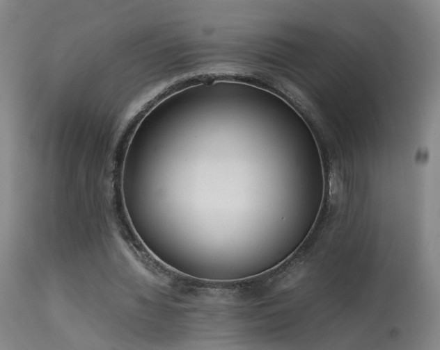 X0000113330436200909211223