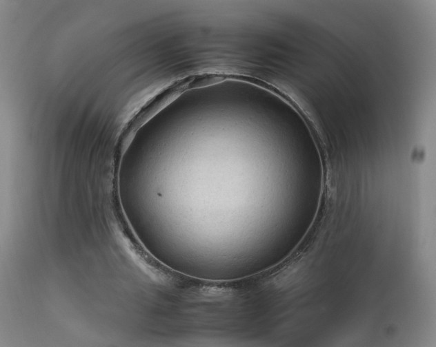 X0000113330437200909211223