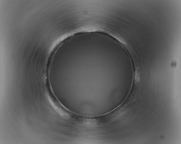 X0000113330438200909211223