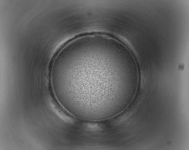 X0000113330439200909211223