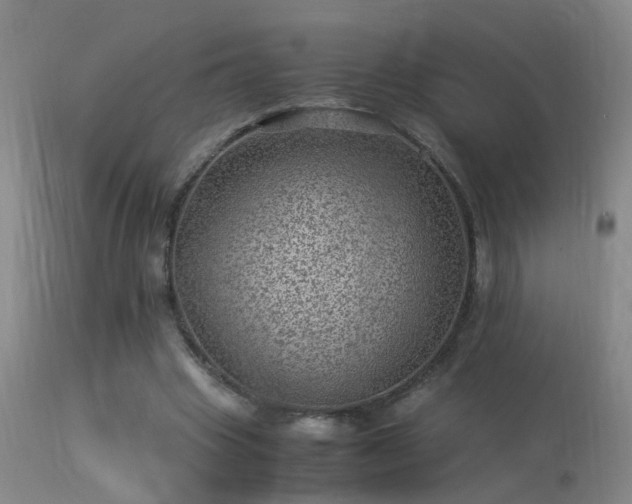 X0000113330441200909211223