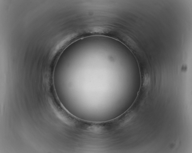 X0000113330444200909211223