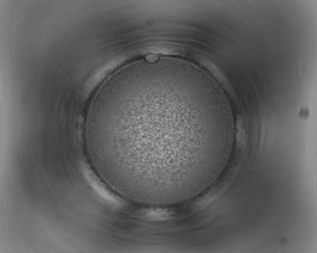X0000113330445200909211223