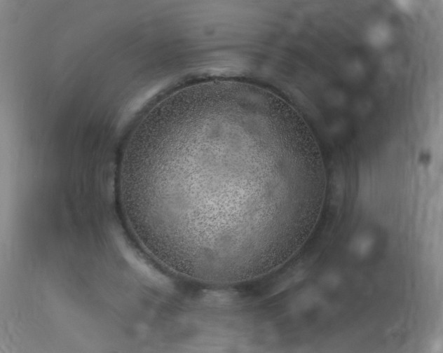 X0000113330446200909211223