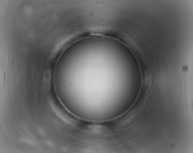 X0000113330448200909211223