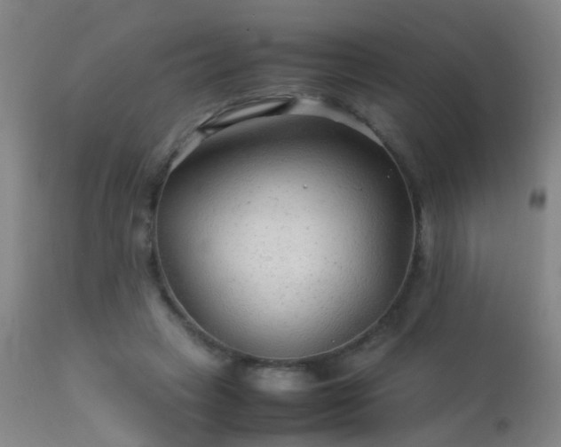 X0000113330449200909211223