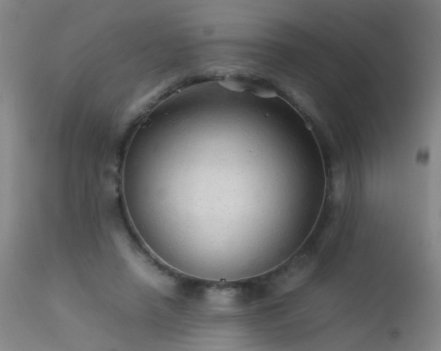X0000113330450200909211223