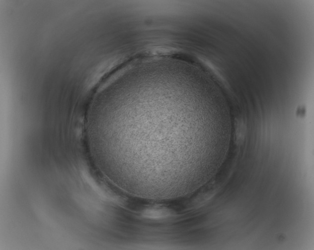 X0000113330451200909211223