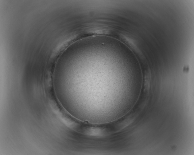 X0000113330453200909211224