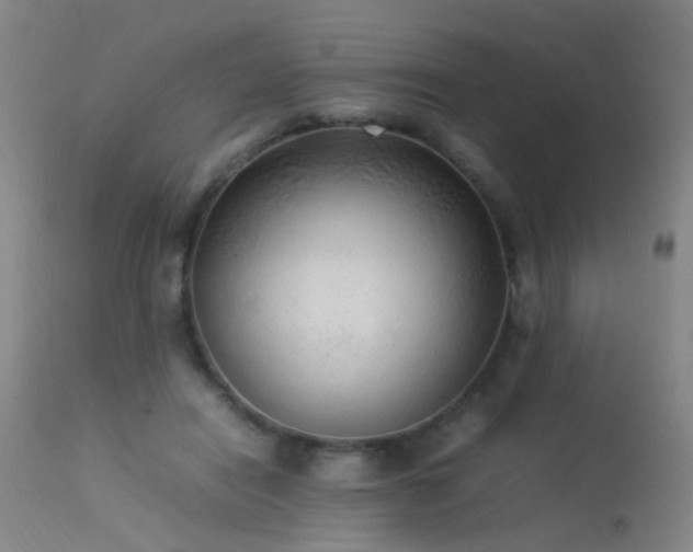 X0000113330454200909211224