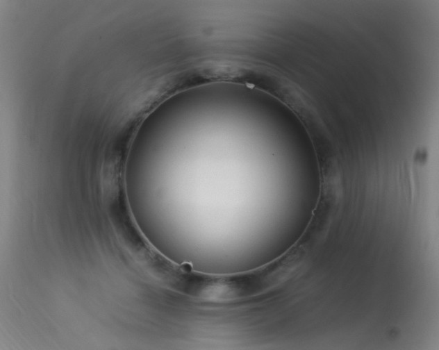 X0000113330460200909211224