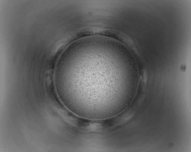 X0000113330462200909211224