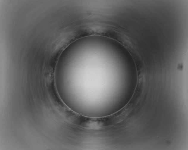 X0000113330464200909211224