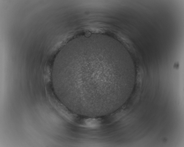 X0000113330465200909211224