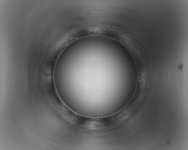 X0000113330466200909211224