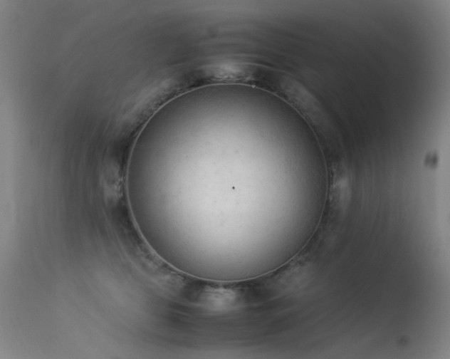 X0000113330469200909211224