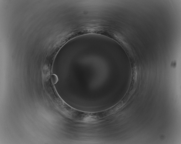 X0000113330471200909211224