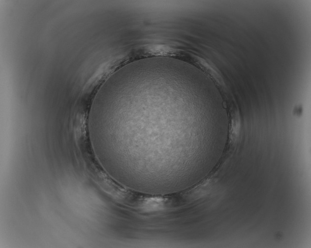 X0000113330473200909211224