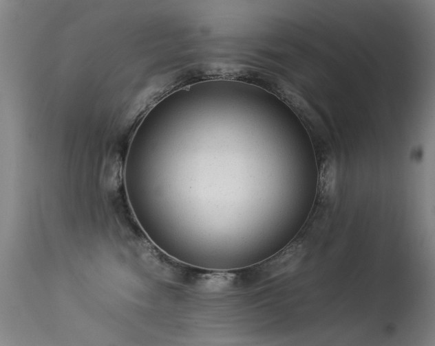 X0000113330474200909211224