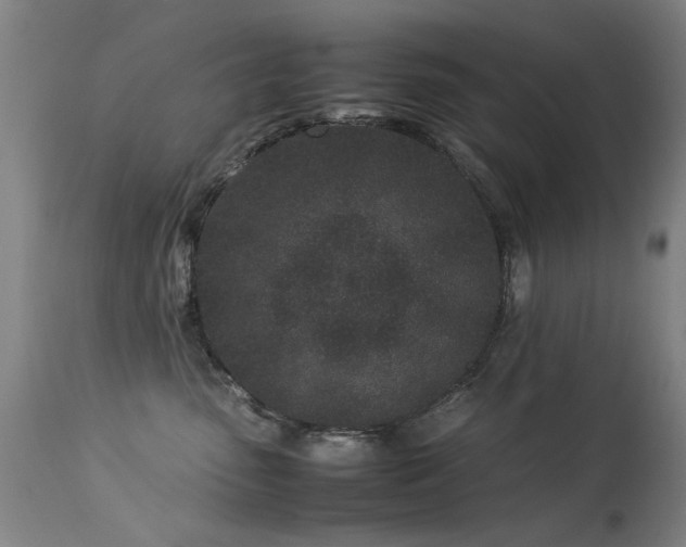 X0000113330475200909211224
