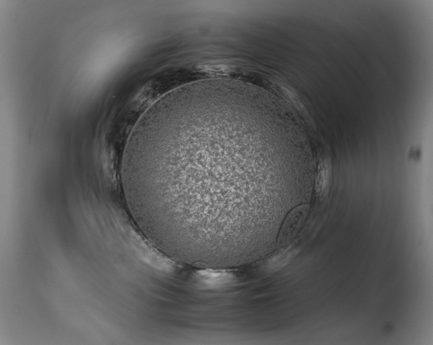 X0000113330477200909211224