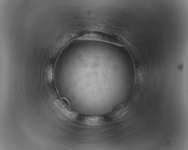 X0000113330479200909211224