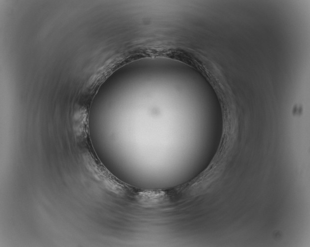 X0000113330480200909211224