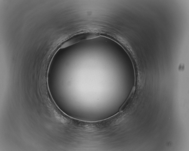 X0000113330481200909211223